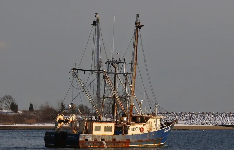 SASSY SARAH General Cargo IMO 8941092 photo 3