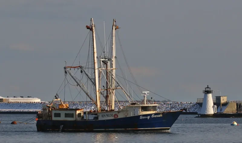 SASSY SARAH General Cargo IMO 8941092 photo 4