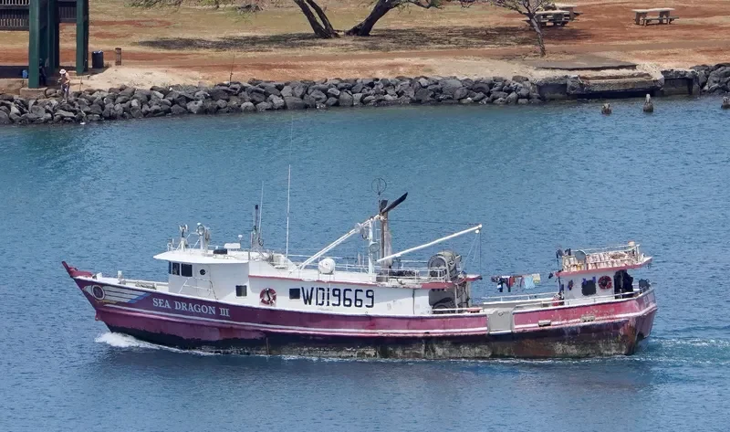 SEA DRAGON III General Cargo IMO 8941236