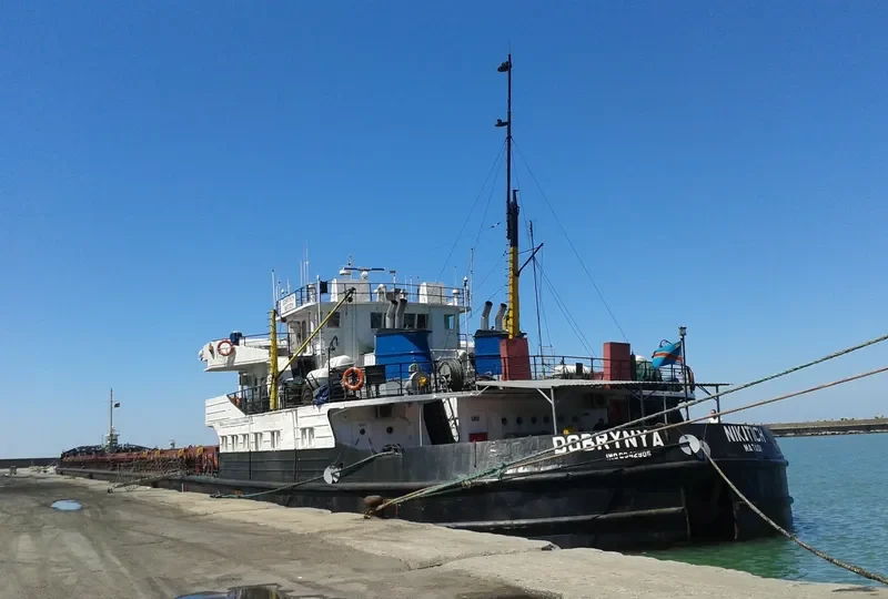 DOBRYNYA NIKITICH General Cargo IMO 8942905 photo 2
