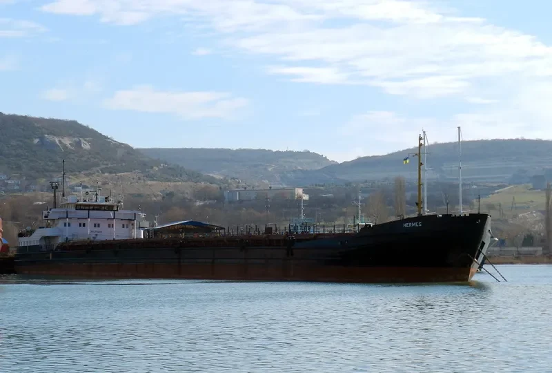 DOBRYNYA NIKITICH General Cargo IMO 8942905 photo 3