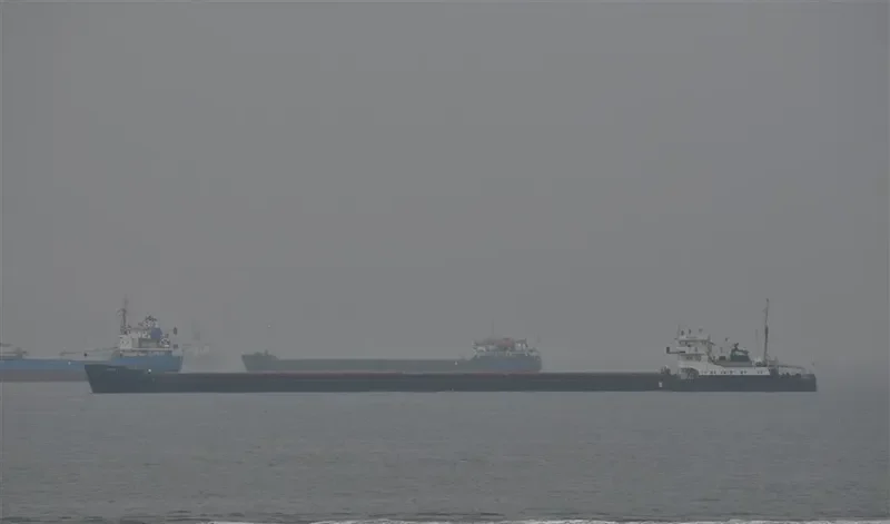 DOBRYNYA NIKITICH General Cargo IMO 8942905 photo 5