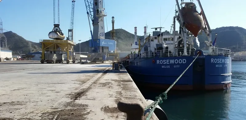ROSEWOOD General Cargo IMO 8942931 photo 4