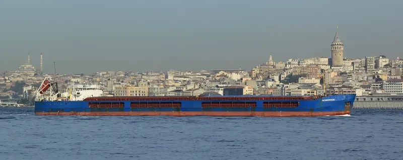 ROSEWOOD General Cargo IMO 8942931 photo 8