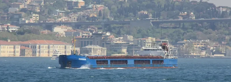ROSEWOOD General Cargo IMO 8942931 photo 9