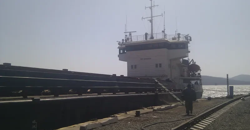 OMSKIY 118 General Cargo IMO 8943442 photo 10