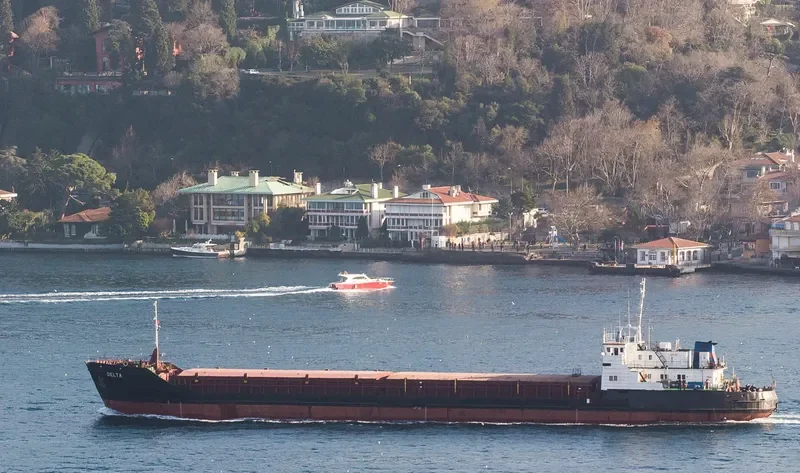 DELTA General Cargo IMO 8946810