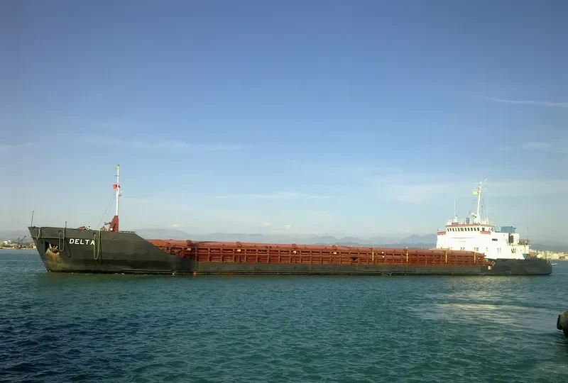 DELTA General Cargo IMO 8946810 photo 2