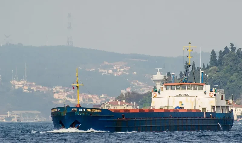 FETIDA General Cargo IMO 8947620 photo 2