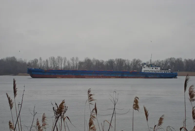 FETIDA General Cargo IMO 8947620 photo 10