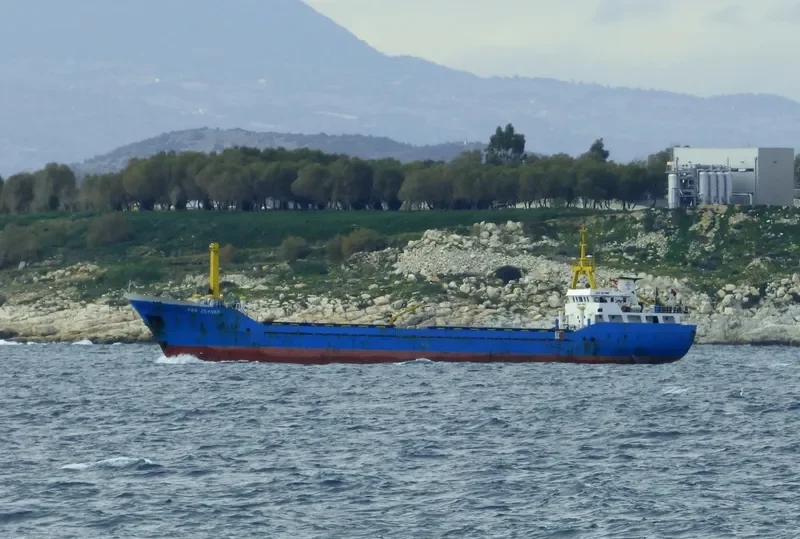ADA ZEYNEP General Cargo IMO 8947876 photo 10
