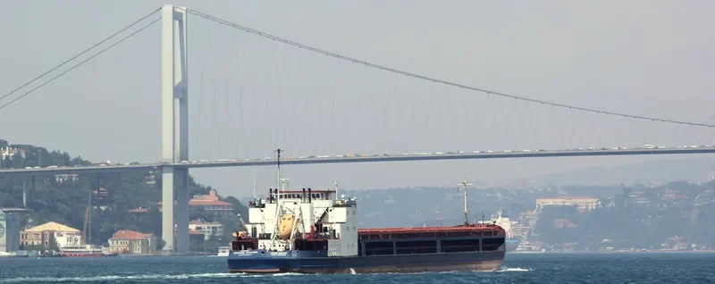LEONID KHOTKIN General Cargo IMO 8949434 photo 5