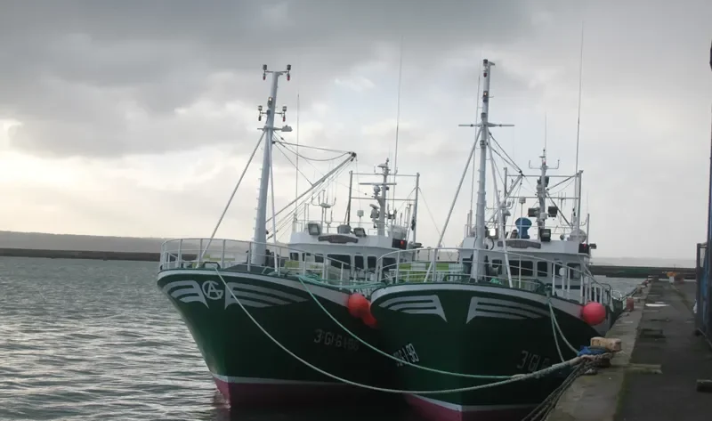 GALIANA PRIMERO General Cargo IMO 8950110
