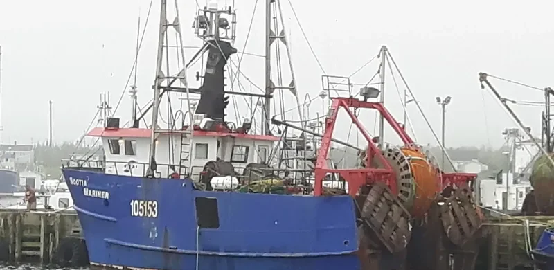 SCOTIA MARINER General Cargo IMO 8953588