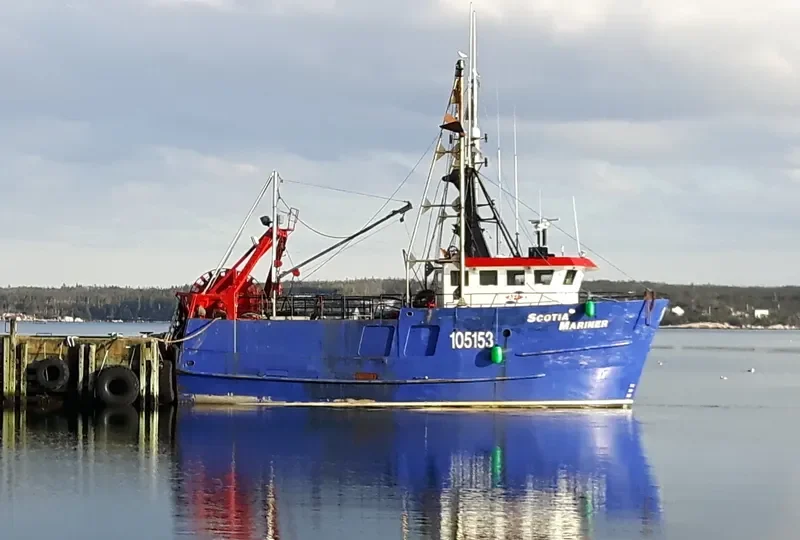 SCOTIA MARINER General Cargo IMO 8953588 photo 2