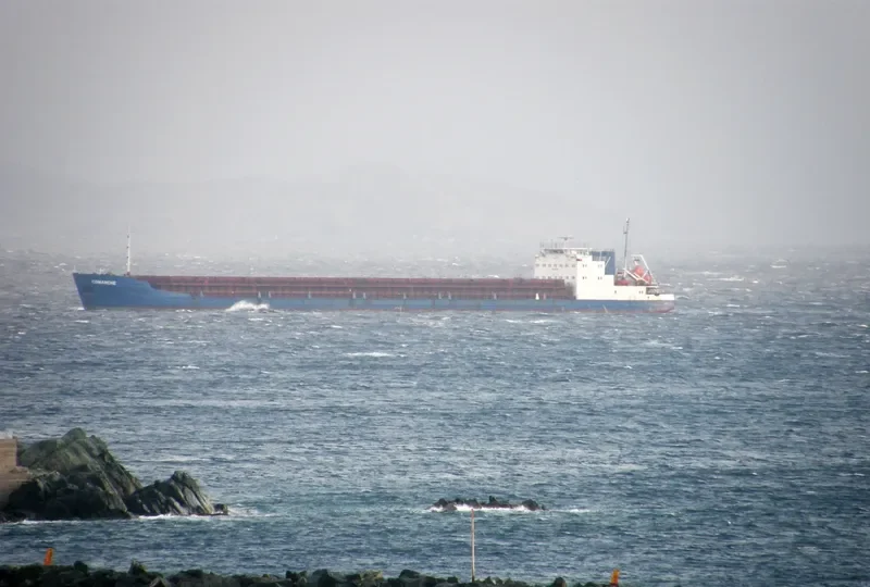 COMANCHE General Cargo IMO 8955720 photo 2