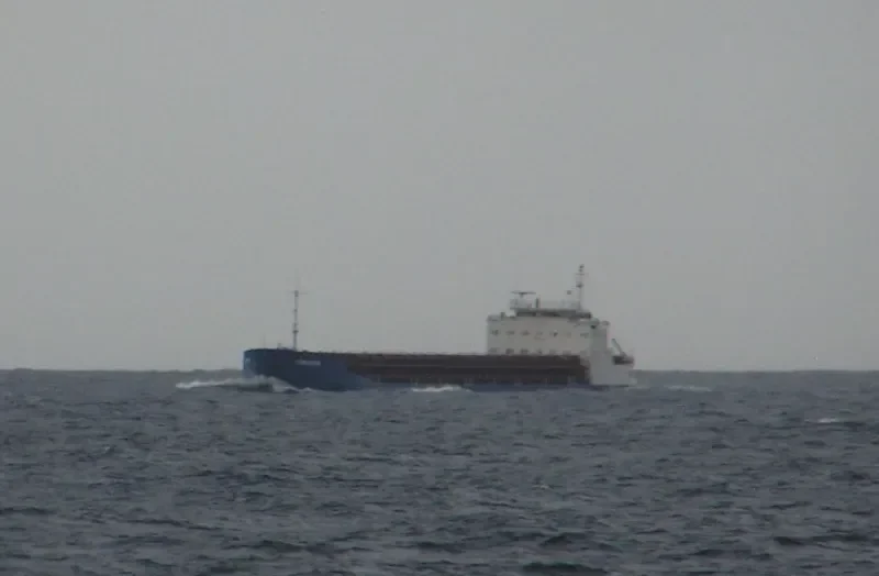 COMANCHE General Cargo IMO 8955720 photo 6