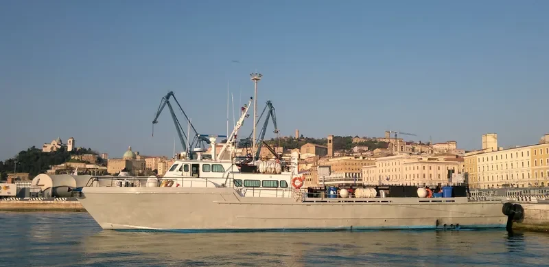 LUPO Offshore Vessel IMO 8959506
