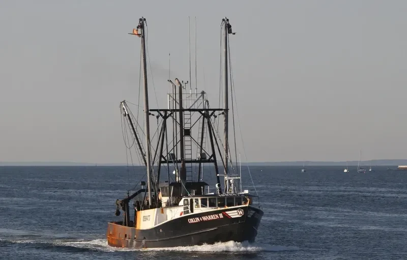 COLLIN & WARREN III General Cargo IMO 8960062 photo 6