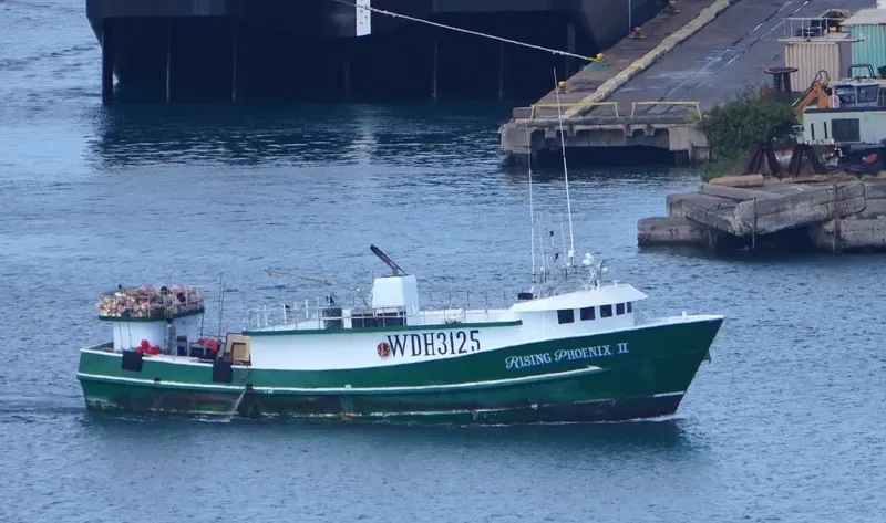 RISING PHOENIX II General Cargo IMO 8963521