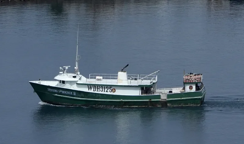 RISING PHOENIX II General Cargo IMO 8963521 photo 3