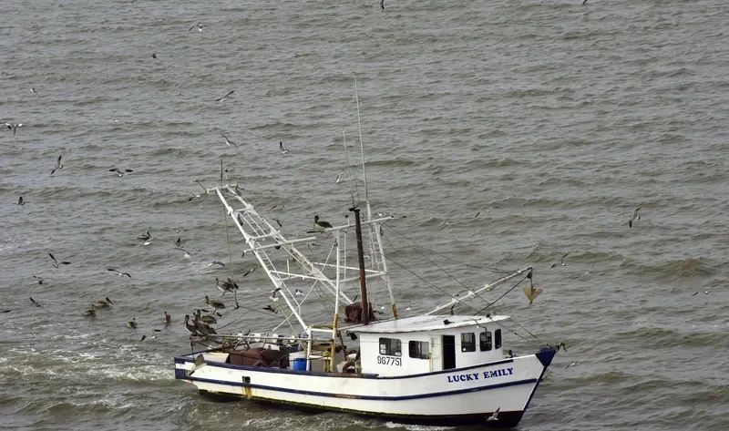 LUCKY EMILY General Cargo IMO 8969575