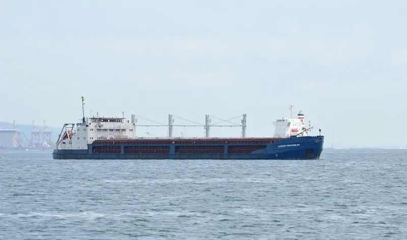 ROSTOV NA DONU General Cargo IMO 8971190 photo 5