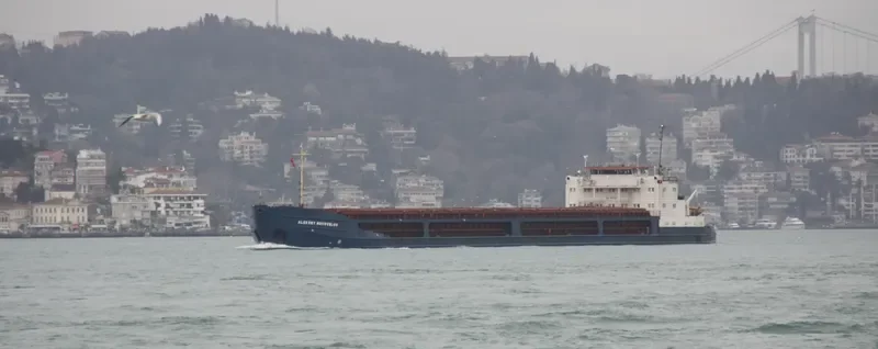 ROSTOV NA DONU General Cargo IMO 8971190 photo 10