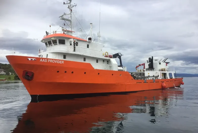 AAS PROVIDER General Cargo IMO 8971633 photo 2
