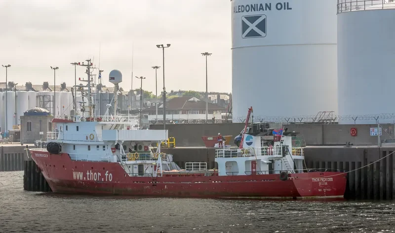 AAS PROVIDER General Cargo IMO 8971633 photo 7