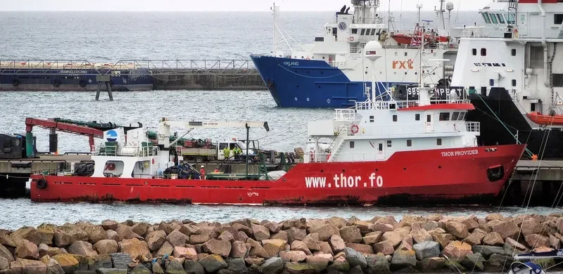 AAS PROVIDER General Cargo IMO 8971633 photo 8