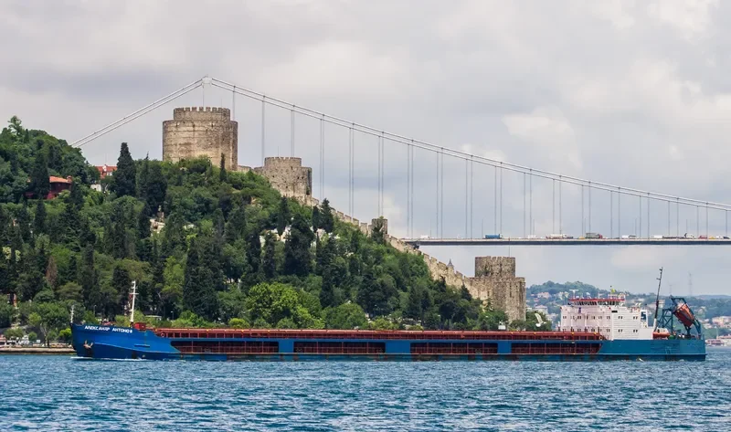 ALEKSANDR ANTONOV General Cargo IMO 8972261 photo 3