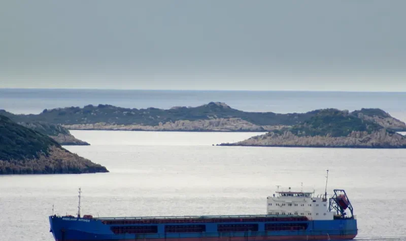 ALEKSANDR ANTONOV General Cargo IMO 8972261 photo 6