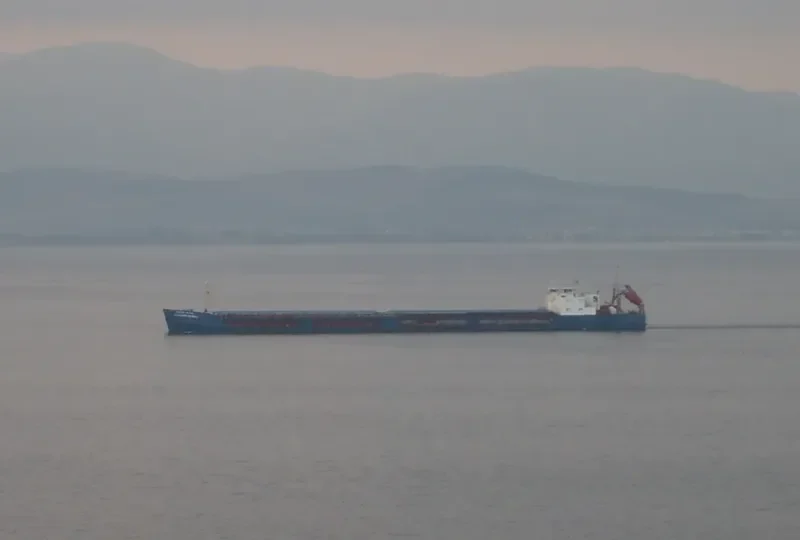 ALEKSANDR ANTONOV General Cargo IMO 8972261 photo 9