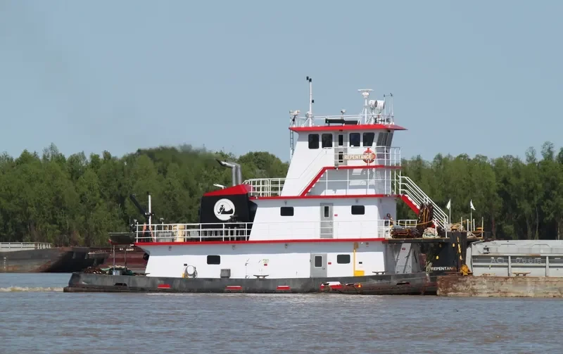REPENTENCE General Cargo IMO 8975847 photo 2