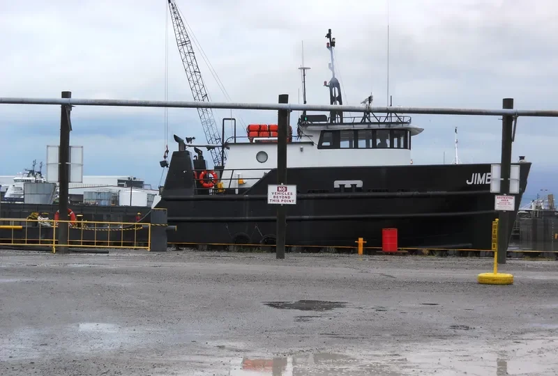 JIMBO Passenger Ship IMO 8977405