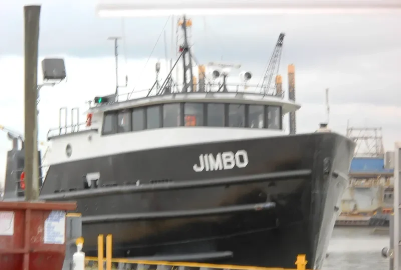 JIMBO Passenger Ship IMO 8977405 photo 2
