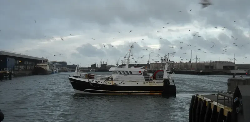 NOTRE DAME DE BOULOGNE General Cargo IMO 8979350 photo 6