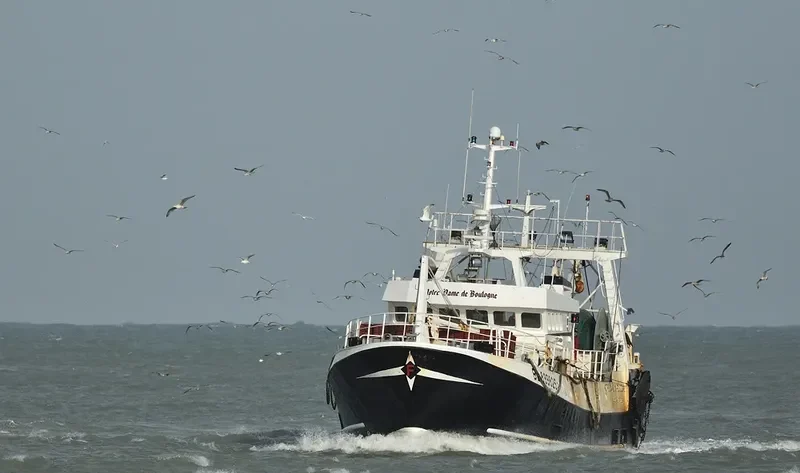NOTRE DAME DE BOULOGNE General Cargo IMO 8979350 photo 7