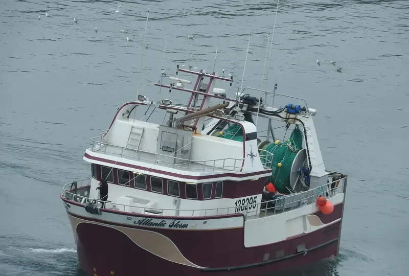 ATLANTIC STORM General Cargo IMO 8979520