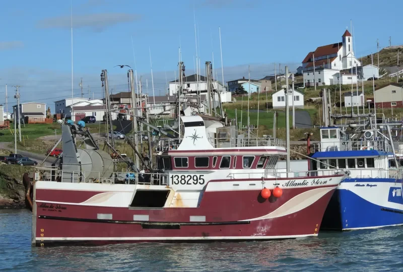 ATLANTIC STORM General Cargo IMO 8979520 photo 6