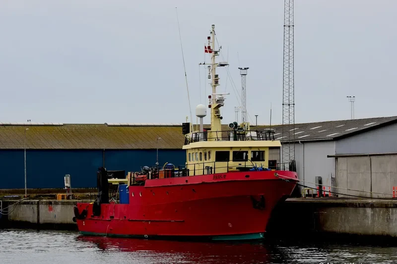 WORLD MOON Offshore Vessel IMO 8981913 photo 9