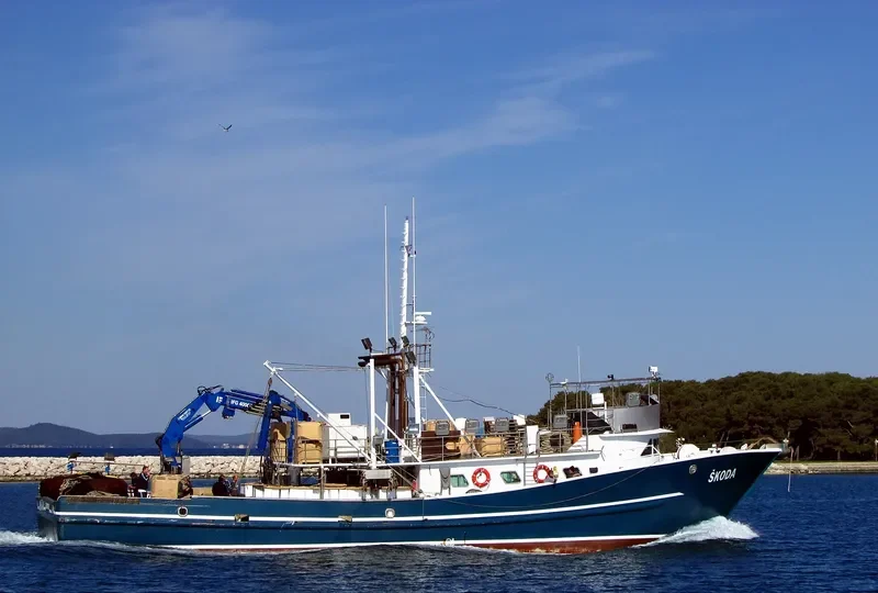 SKODA General Cargo IMO 8983741 photo 3