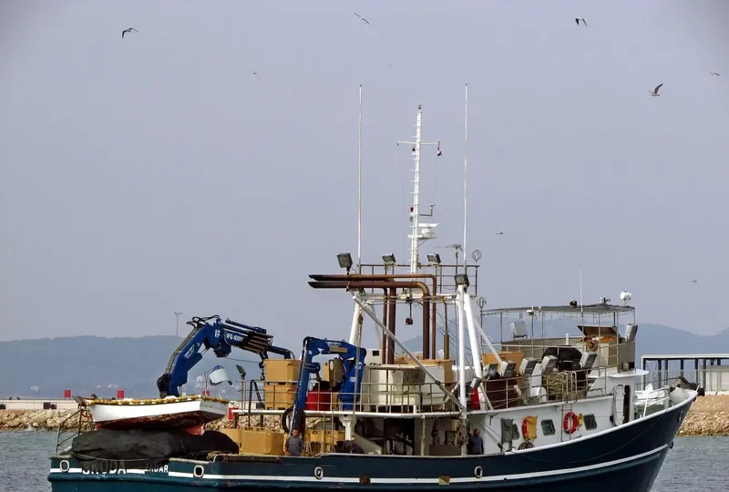 SKODA General Cargo IMO 8983741 photo 9