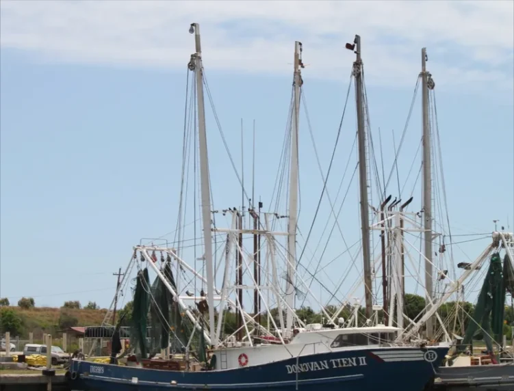DONOVAN TIEN II General Cargo IMO 8983894