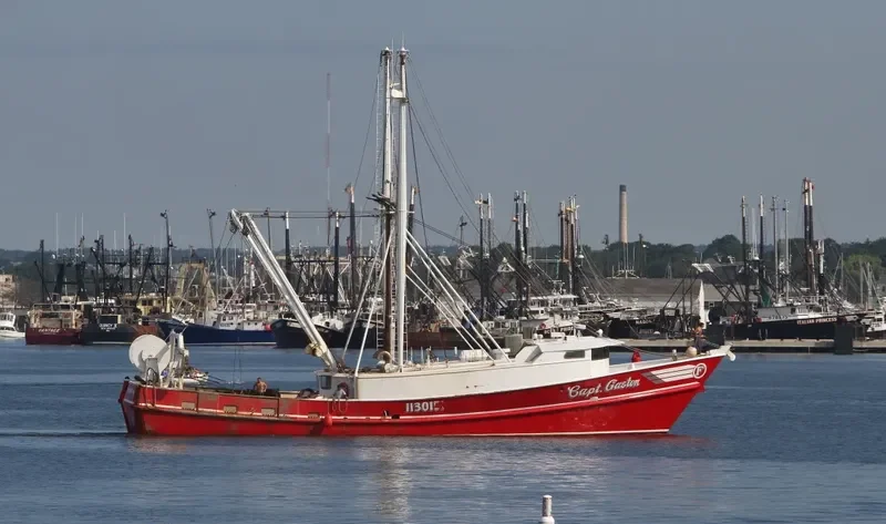 CAPT.GASTON General Cargo IMO 8984290