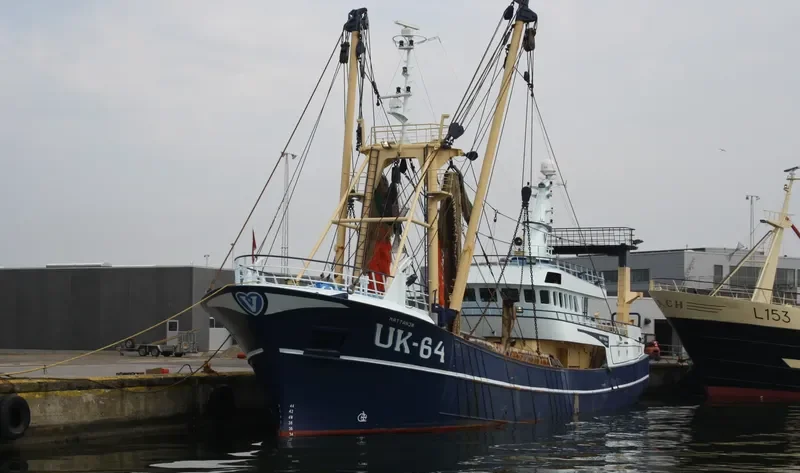 MATTANJA General Cargo IMO 8985165