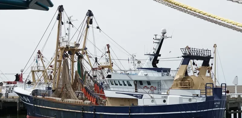 MATTANJA General Cargo IMO 8985165 photo 5