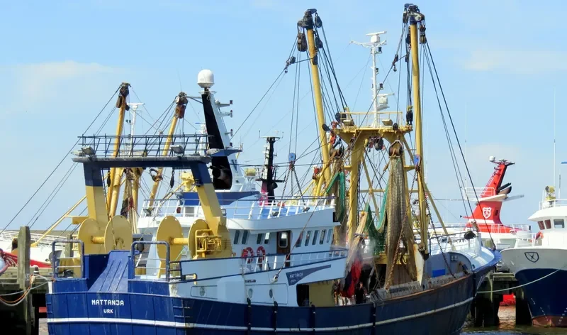 MATTANJA General Cargo IMO 8985165 photo 8