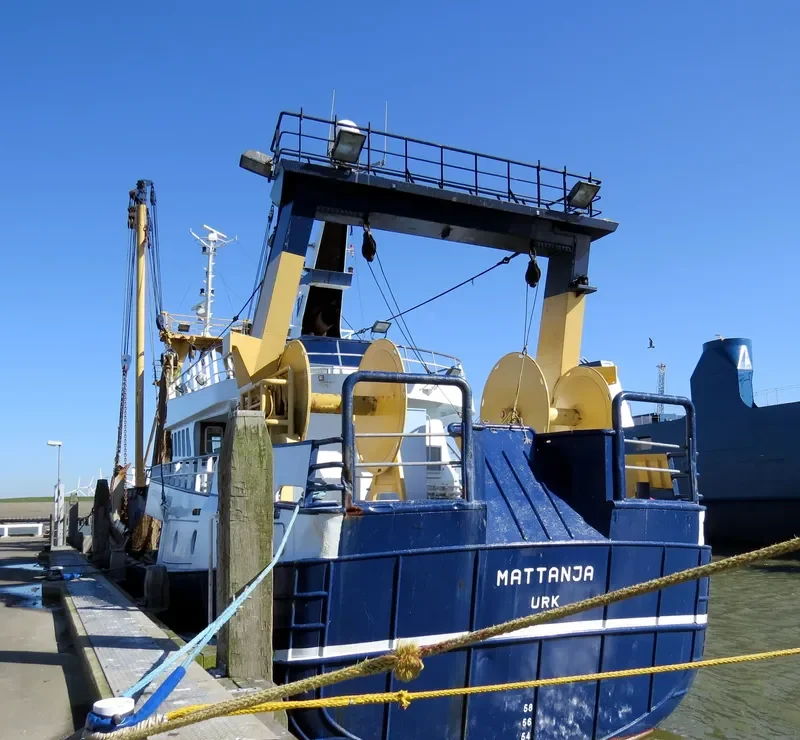 MATTANJA General Cargo IMO 8985165 photo 9